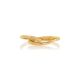 Arius Ring