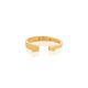 Felix Ring