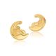 Night Wave Earrings