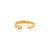 Felix Ring