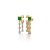 Green Skye Earrings