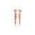 Neolife Earrings