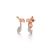 Silver Sepal Earrings