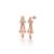 Perfect Prism Earrings