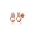 Rainglow Earrings