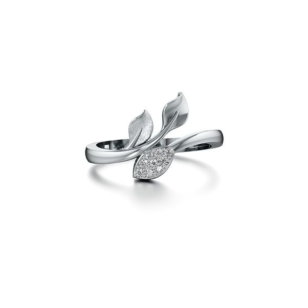 White Gold vs. Platinum: Key Differences You Should Know